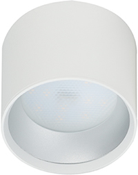 cветильник накладной OL8 GX53 WH/SL "Эра" - внешний вид