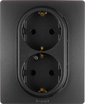 розетка 2-местная Legrand Etika 672623 с з/к в сборе - внешний вид