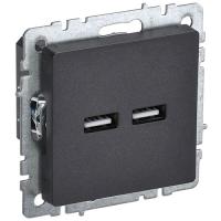 купить Брайт черный розетка USB A+A скрытая 2-ая  в Ухте Брайт черный розетка USB A+A скрытая 2-ая