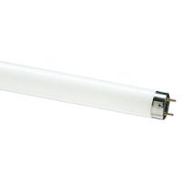 купить Лампа люм G13 Т8 18Вт 4100К 1200лм Philips в Ухте Лампа люм G13 Т8 18Вт 4100К 1200лм Philips