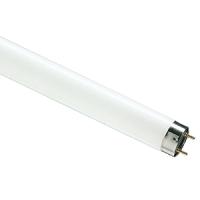 купить Лампа люм G13 Т8 18Вт 6500К 1080лм Philips в Ухте Лампа люм G13 Т8 18Вт 6500К 1080лм Philips