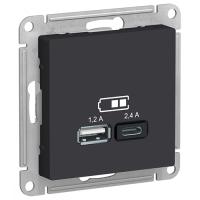 купить Атлас карбон розетка USB скрытая 2-ая  в Ухте Атлас карбон розетка USB скрытая 2-ая