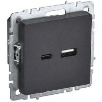 купить Брайт черный розетка USB A+C скрытая 2-ая  в Ухте Брайт черный розетка USB A+C скрытая 2-ая