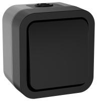 TORS Переключатель однокл. 10А IP55 TS101 графит IEK