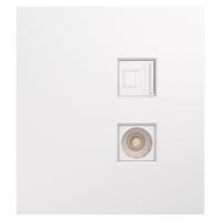 купить MIELE STRONG Розетка компьютерная RJ45 кат6 + TV с/у жемчуг KRANZ в Ухте MIELE STRONG Розетка компьютерная RJ45 кат6 + TV с/у жемчуг KRANZ