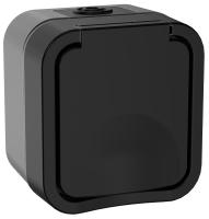 купить TORS Розетка 1-я с з/к кр. 16А IP55 TS120 графит IEK в Ухте TORS Розетка 1-я с з/к кр. 16А IP55 TS120 графит IEK