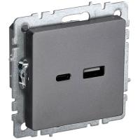 купить Брайт сталь розетка USB A+C скрытая 2-ая  в Ухте Брайт сталь розетка USB A+C скрытая 2-ая