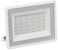 купить Прожектор LED СДО 06-50 IP65 6500K белый IEK в Ухте Прожектор LED СДО 06-50 IP65 6500K белый IEK
