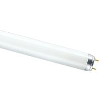 купить Лампа люм G13 Т8 36Вт 4000К 2850лм Osram  в Ухте Лампа люм G13 Т8 36Вт 4000К 2850лм Osram