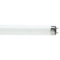 купить Лампа люм G13 Т8 30Вт 6200К 1825лм Philips в Ухте Лампа люм G13 Т8 30Вт 6200К 1825лм Philips