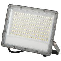 Прожектор свд 100Вт 6500К 10000лм серый IP65 90° ЭРА PRO LPR-063