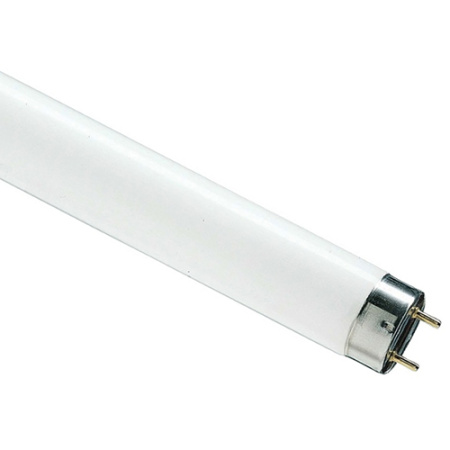 купить Лампа люм G13 Т8 58Вт 6500К 5000лм Osram  в Ухте Лампа люм G13 Т8 58Вт 6500К 5000лм Osram