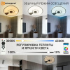 купить Светильник настенно-потолочный свд 80Вт RGB круг белый/хром  пульт ДУ Estares музыкальная, API в Ухте Светильник настенно-потолочный свд 80Вт RGB круг белый/хром  пульт ДУ Estares музыкальная, API