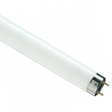 купить Лампа люм G13 Т8 30Вт 6500К 1900лм Osram  в Ухте Лампа люм G13 Т8 30Вт 6500К 1900лм Osram