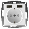 AtlasDesign белый розетка скрытая 1-мест заземление шторки USB IP20 