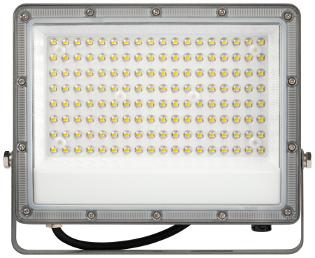 Прожектор свд 100Вт 6500К 10000лм серый IP65 90° ЭРА PRO LPR-063