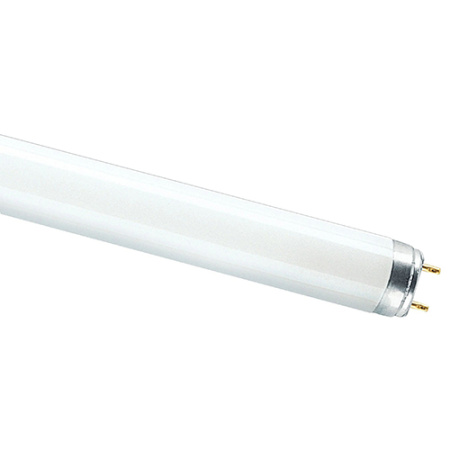 купить Лампа люм G13 Т8 36Вт 4000К 2850лм Osram  в Ухте Лампа люм G13 Т8 36Вт 4000К 2850лм Osram
