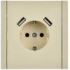 купить Фортепиано ваниль розетка скрытая 1-мест заземление шторки USB IP20  в Ухте Фортепиано ваниль розетка скрытая 1-мест заземление шторки USB IP20